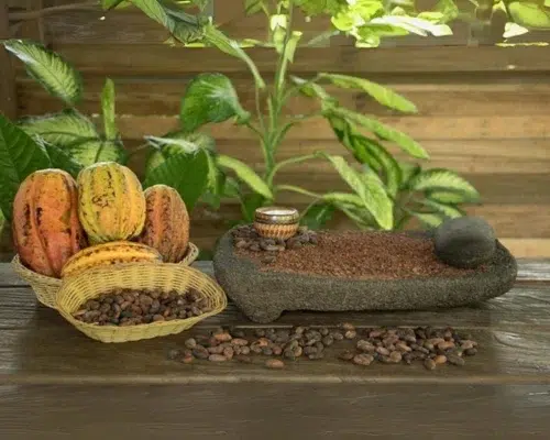 Sarapiqui