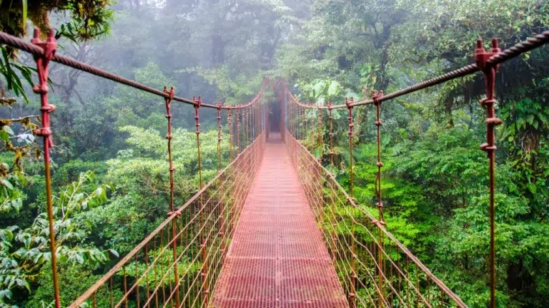 Reiseroute 1 für Birdslover 188 wandern in Costa Rica