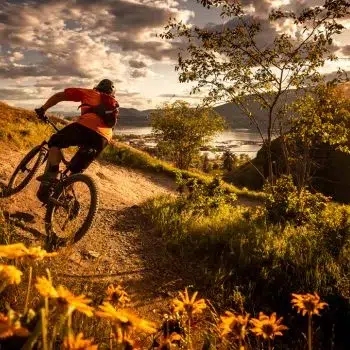 Aktivitäten 49 bike 3