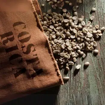 Aktivitäten 56 cafe 1