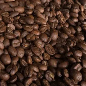 Aktivitäten 55 cafe 2