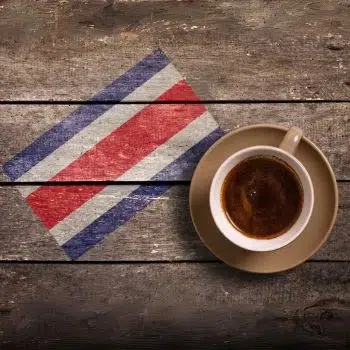 Aktivitäten 57 cafe