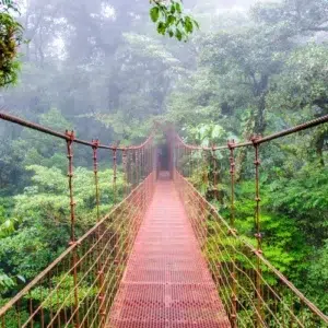 Hängebrücke in Monteverde