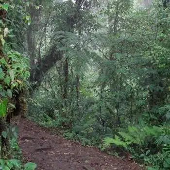 Aktivitäten 29 wandern in Costa Rica