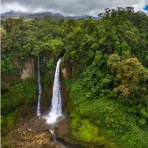 Yellow Bull Wasserfall