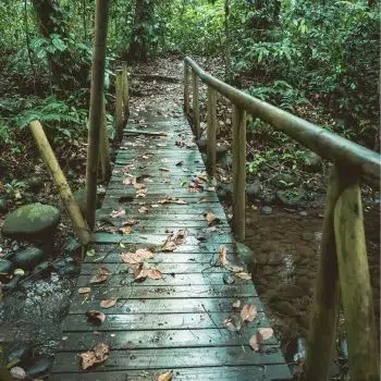 Aktivitäten 28 wandern in Costa Rica
