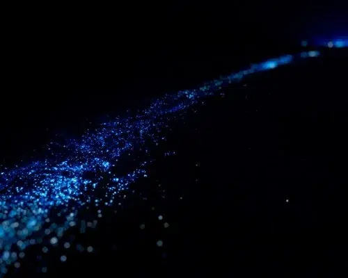 Biolumineszenz Erlebnis 2 Biolumineszenz-Erlebnis
